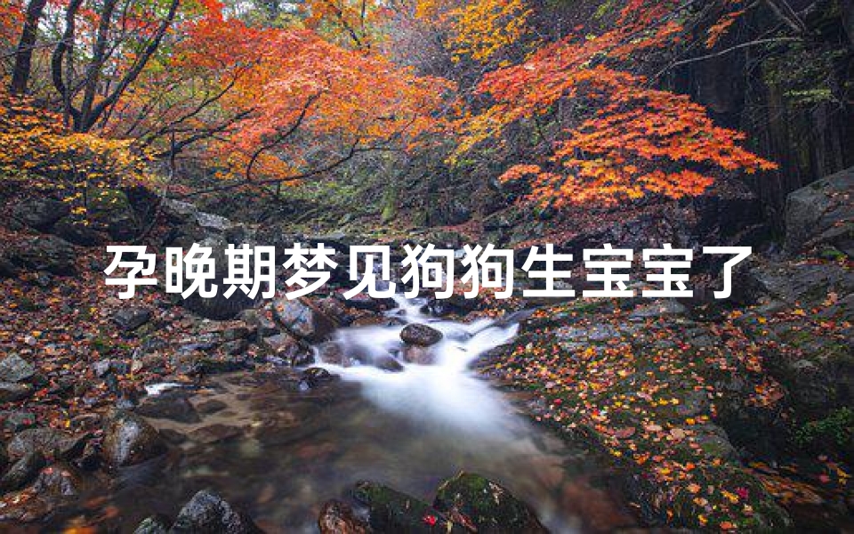 孕晚期梦见狗狗生宝宝了,孕晚期梦到狗狗生宝宝