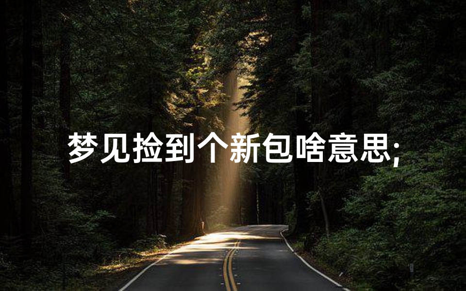 梦见捡到个新包啥意思;梦见捡到一个小包