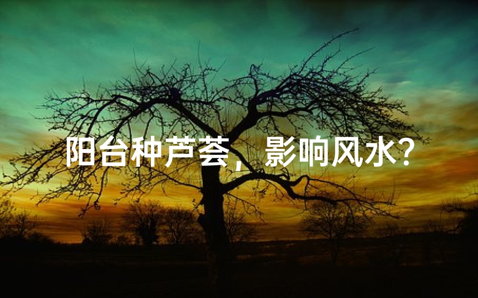 阳台种芦荟,影响风水?揭秘家居绿植风水之谜