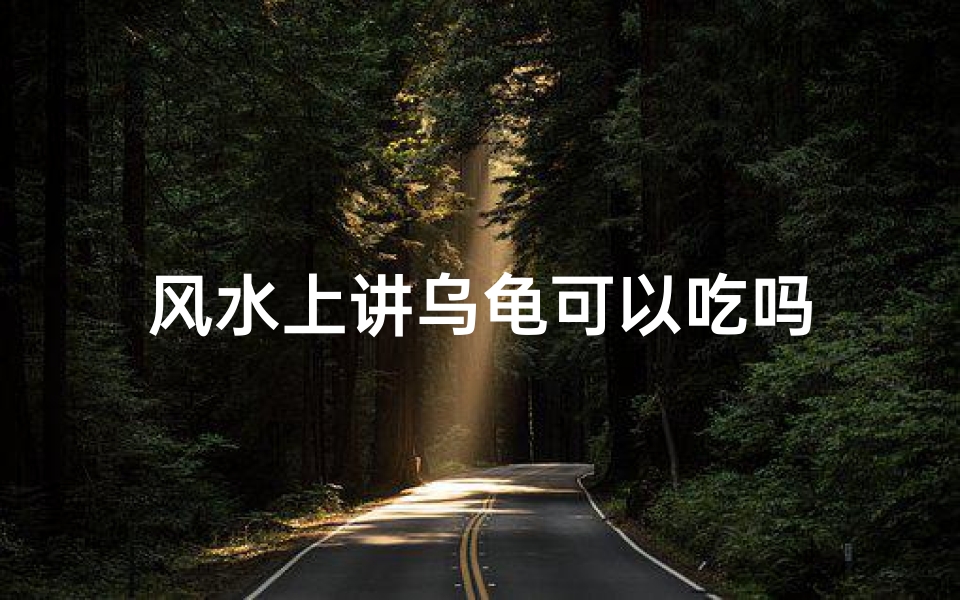 风水上讲乌龟可以吃吗