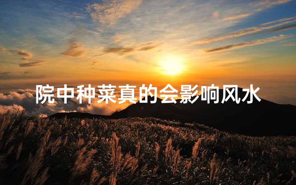 院中种菜真的会影响风水吗?