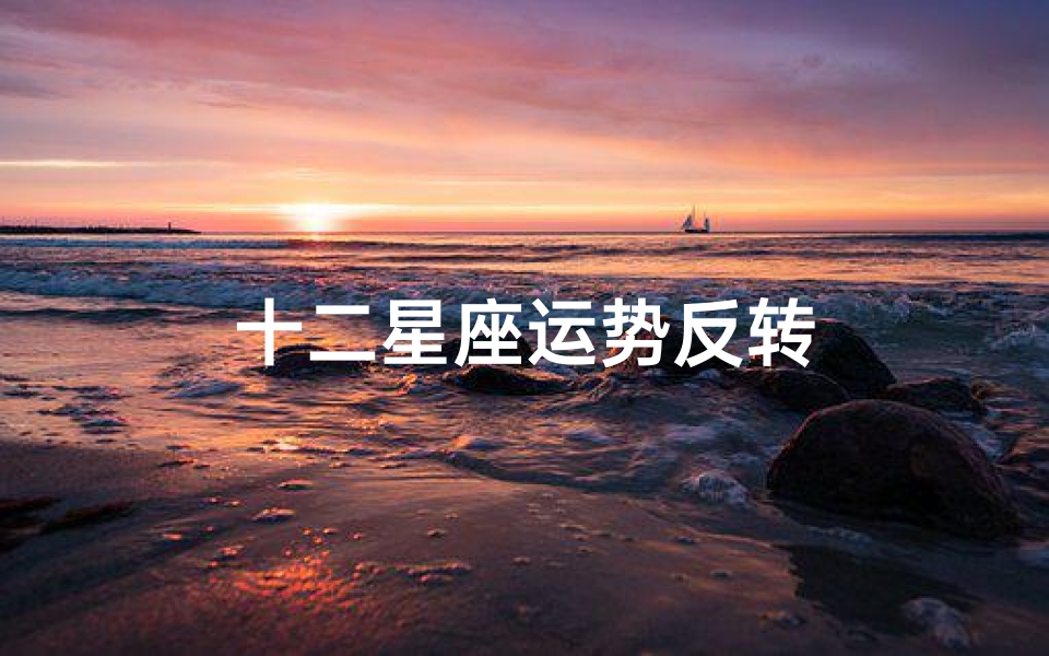 十二星座运势反转