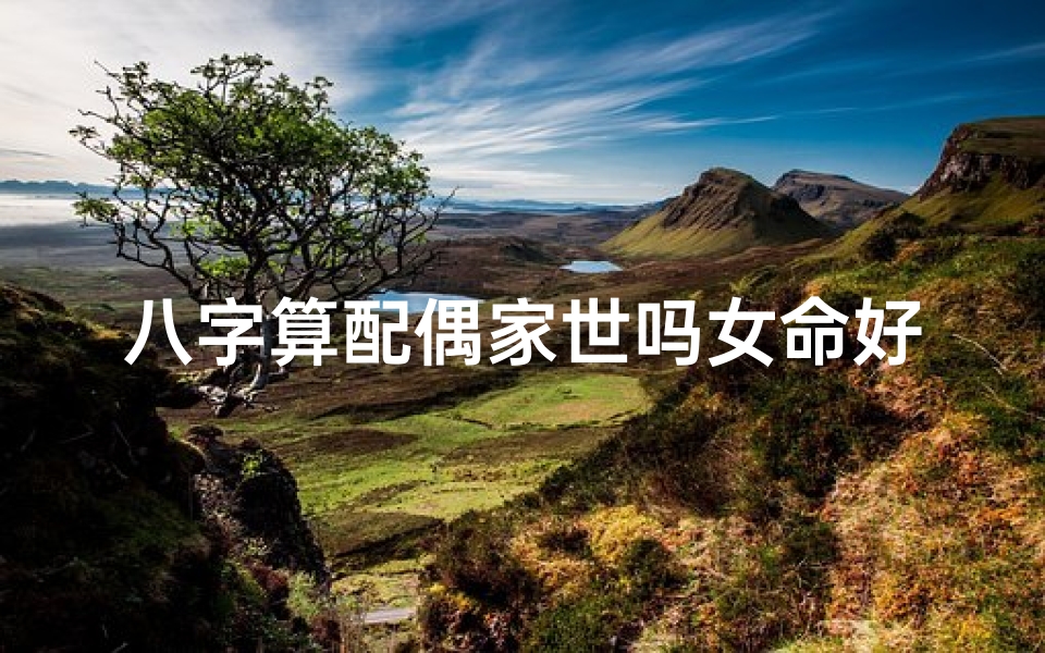八字算配偶家世吗女命好吗—八字算配偶家世:女命好吗,揭秘婚姻奥秘