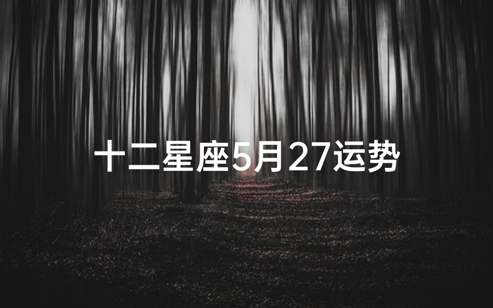 十二星座5月27运势