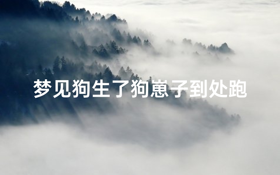 梦见狗生了狗崽子到处跑(梦到狗子生了小狗)