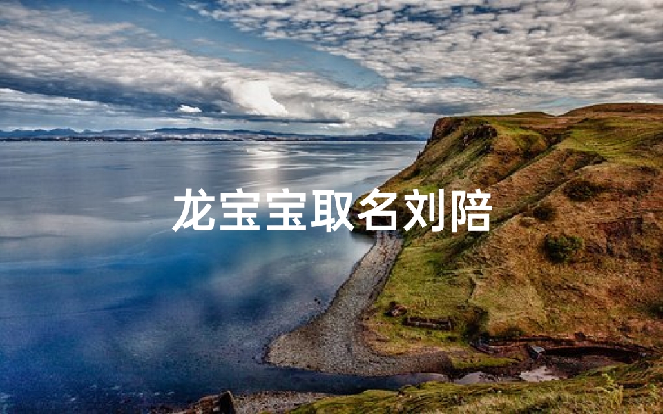 龙宝宝取名刘陪