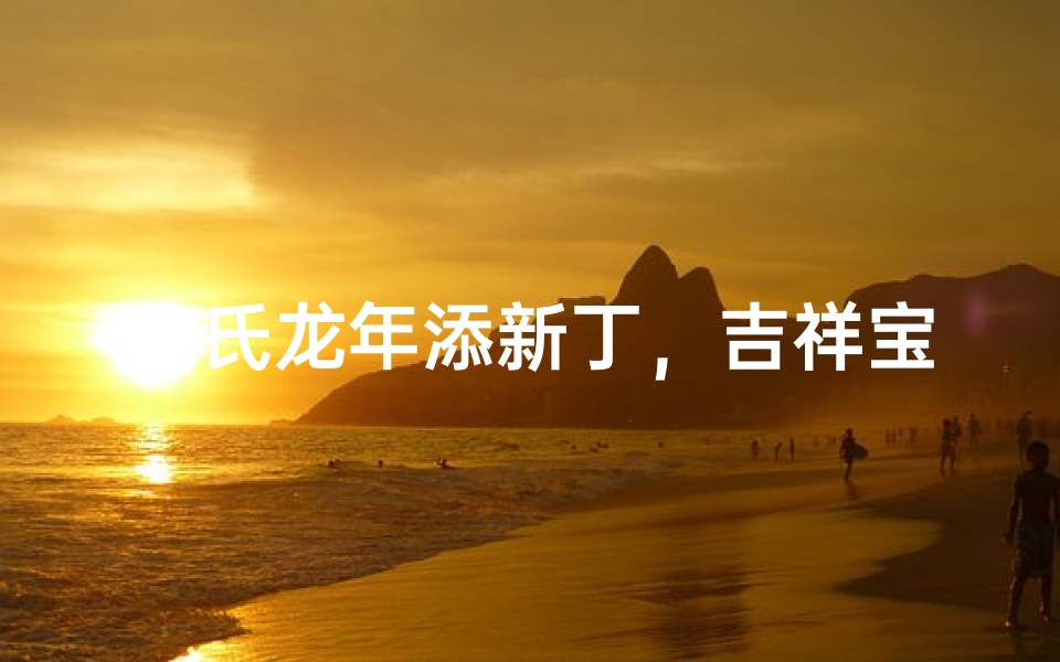 连氏龙年添新丁,吉祥宝宝取名记