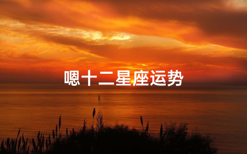 嗯十二星座运势