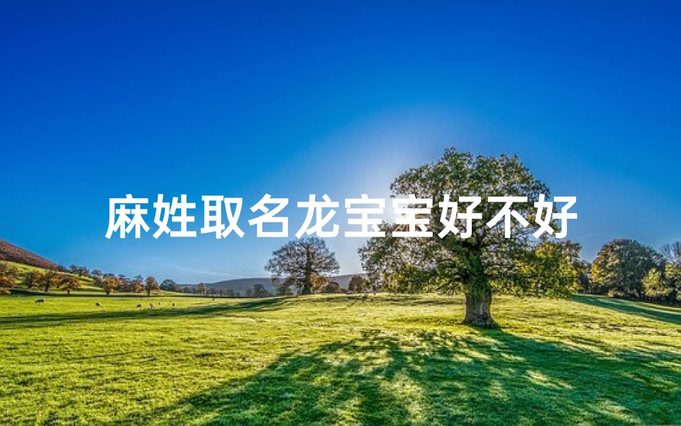 麻姓取名龙宝宝好不好