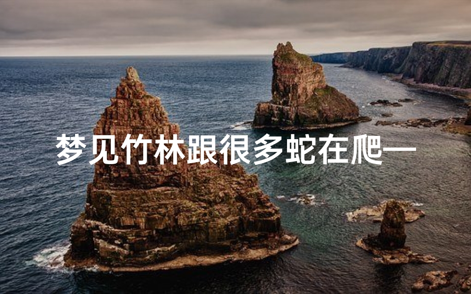 梦见竹林跟很多蛇在爬—梦见竹林跟很多蛇在爬来爬去