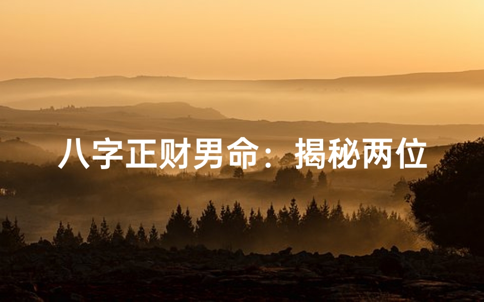 八字正财男命:揭秘两位魅力财富双全的男士