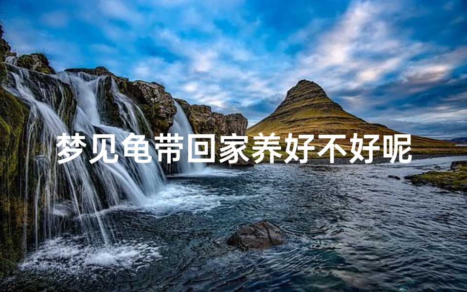 梦见龟带回家养好不好呢—梦见老龟带着一群小龟