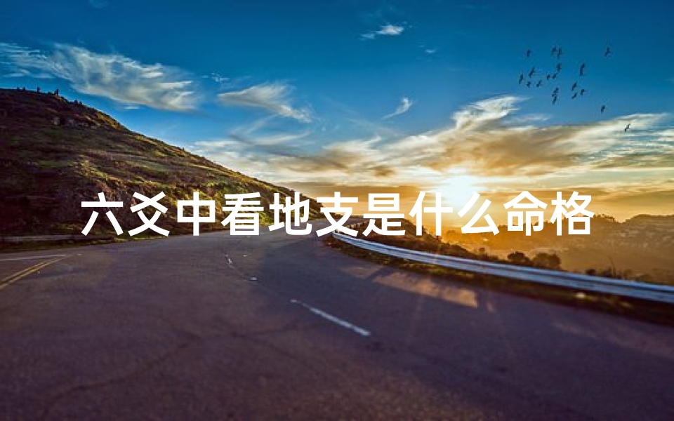 六爻中看地支是什么命格—六爻对应十二地支