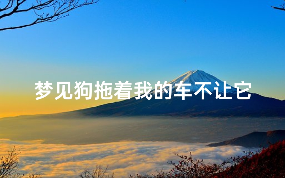 梦见狗拖着我的车不让它走(梦见狗拖人)
