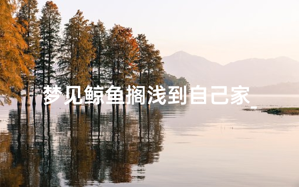 梦见鲸鱼搁浅到自己家_梦见鲸鱼游向自己-优贝算卦网