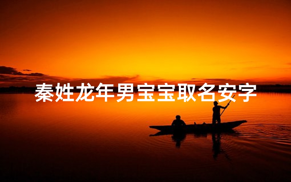 秦姓龙年男宝宝取名安字辈