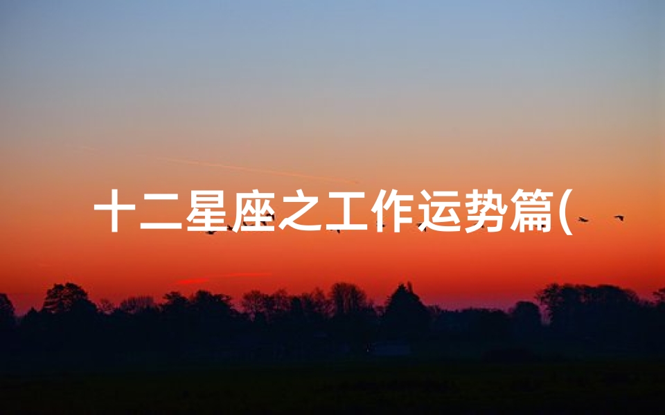 十二星座之工作运势篇(十二星座 工作)
