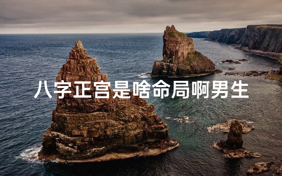 八字正宫是啥命局啊男生-八字有正宫是什么意思