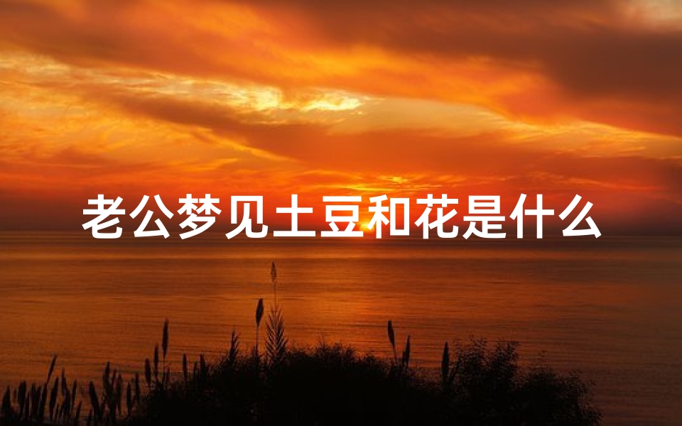 老公梦见土豆和花是什么_梦见土豆花是什么意思