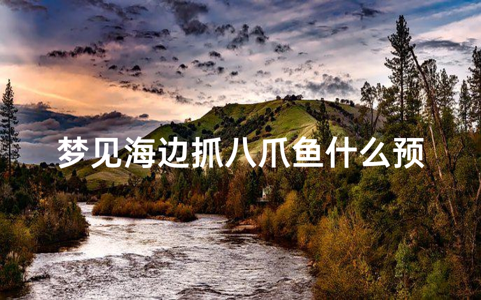 梦见海边抓八爪鱼什么预兆—梦到在海边抓八爪鱼