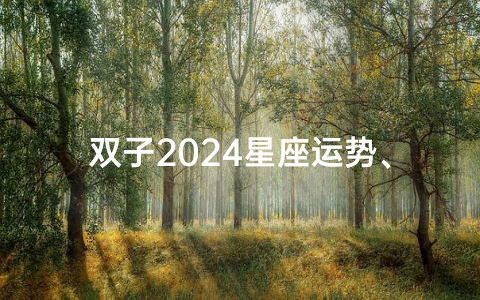 双子2024星座运势、双子座2821年运势