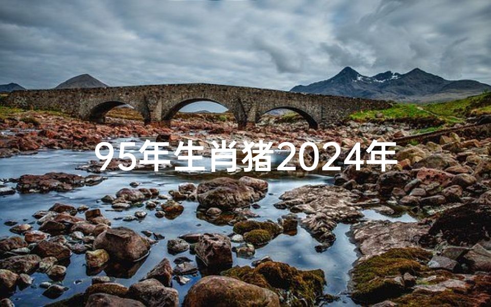 95年生肖猪2024年的运势