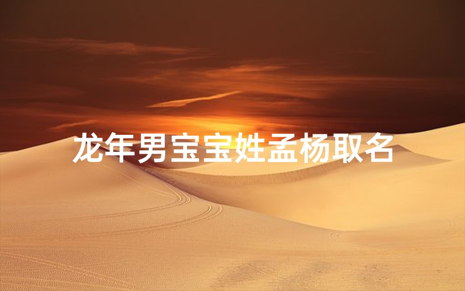 龙年男宝宝姓孟杨取名