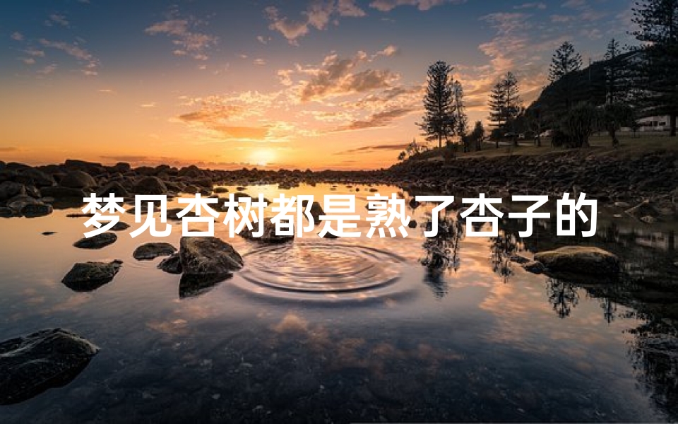 梦见杏树都是熟了杏子的(梦见杏树都是熟了杏子的味道)