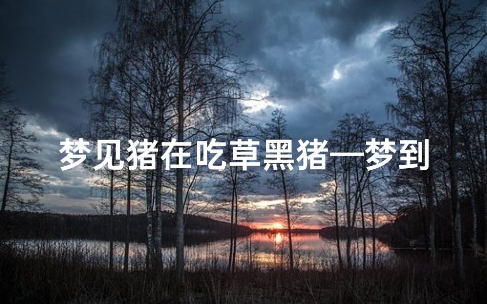 梦见猪在吃草黑猪—梦到猪吃草