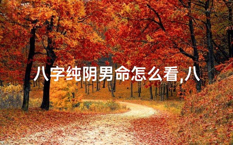 八字纯阴男命怎么看,八字纯阴男命财运解析:揭秘财运起伏之谜