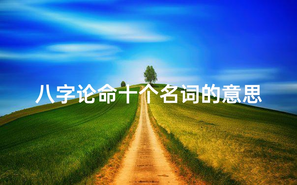 八字论命十个名词的意思—八字论命笔记：揭秘命运密码的八字奥秘