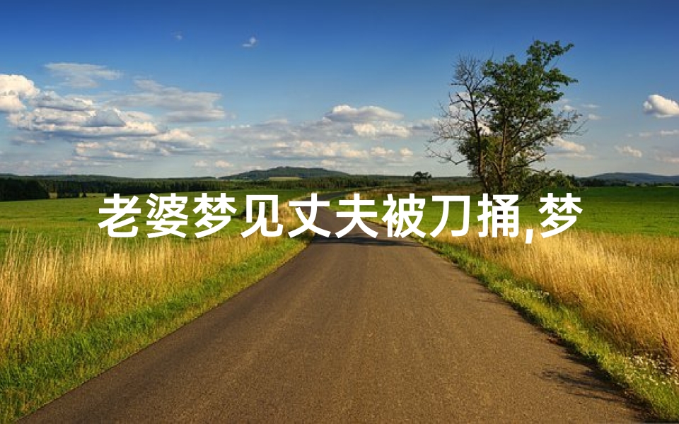 老婆梦见丈夫被刀捅,梦到丈夫被捅了一刀