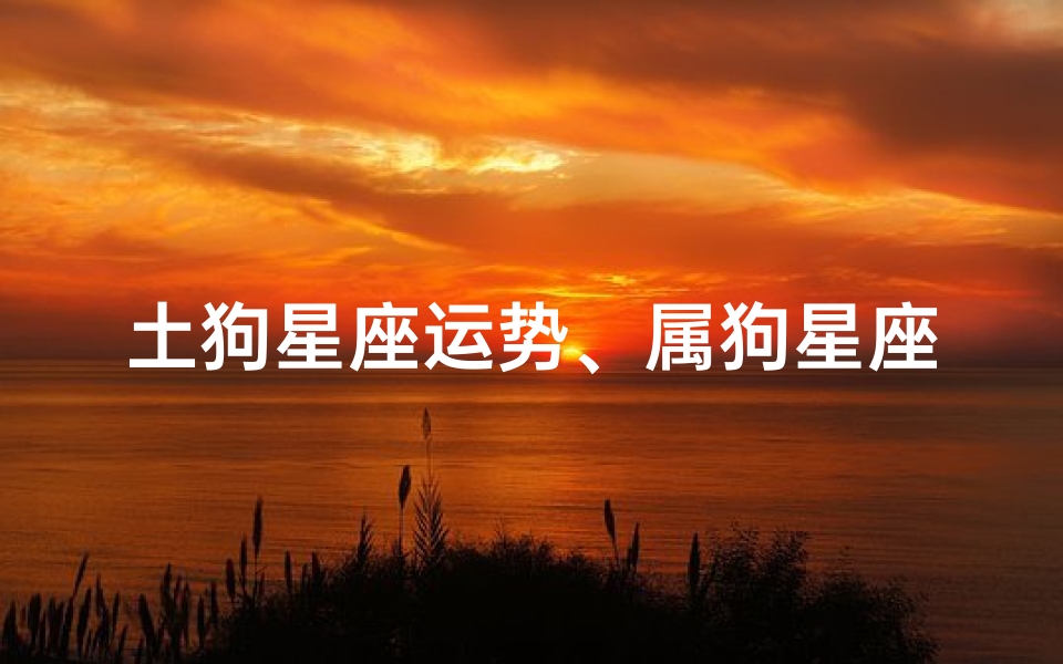 土狗星座运势、属狗星座运势