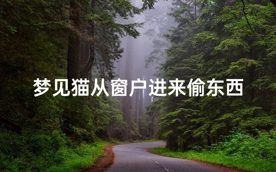 梦见猫从窗户进来偷东西,梦见猫从窗户进家里是什么预兆呢?