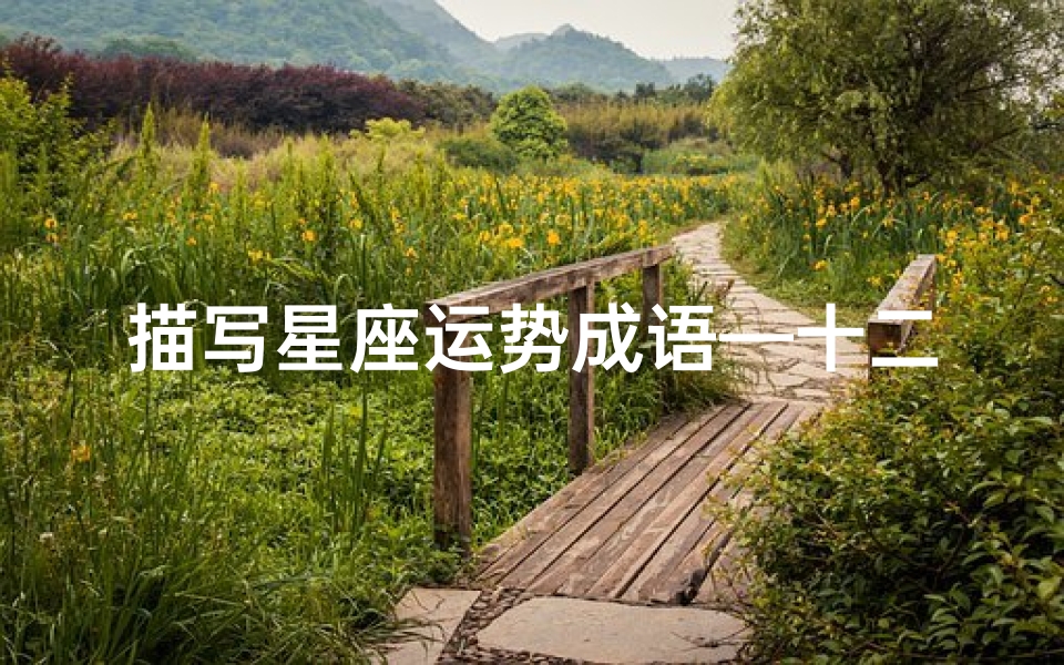 描写星座运势成语—十二星座运势揭秘:成语点睛之笔