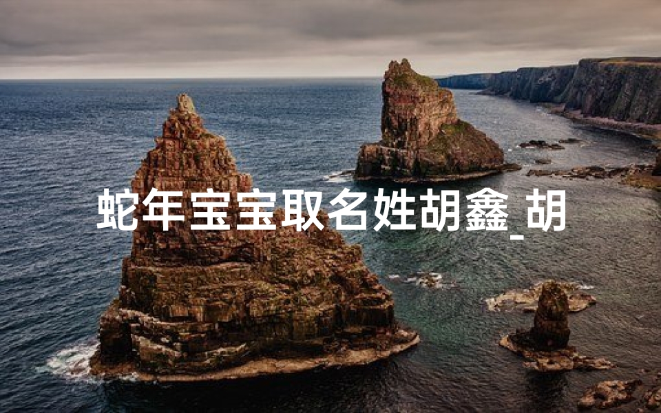蛇年宝宝取名姓胡鑫_胡鑫名字的含义