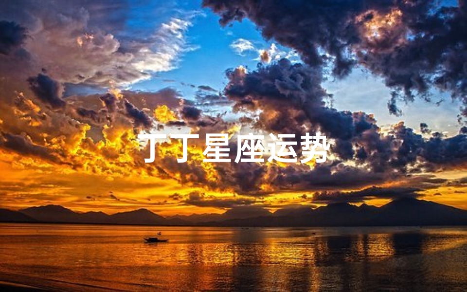 丁丁星座运势