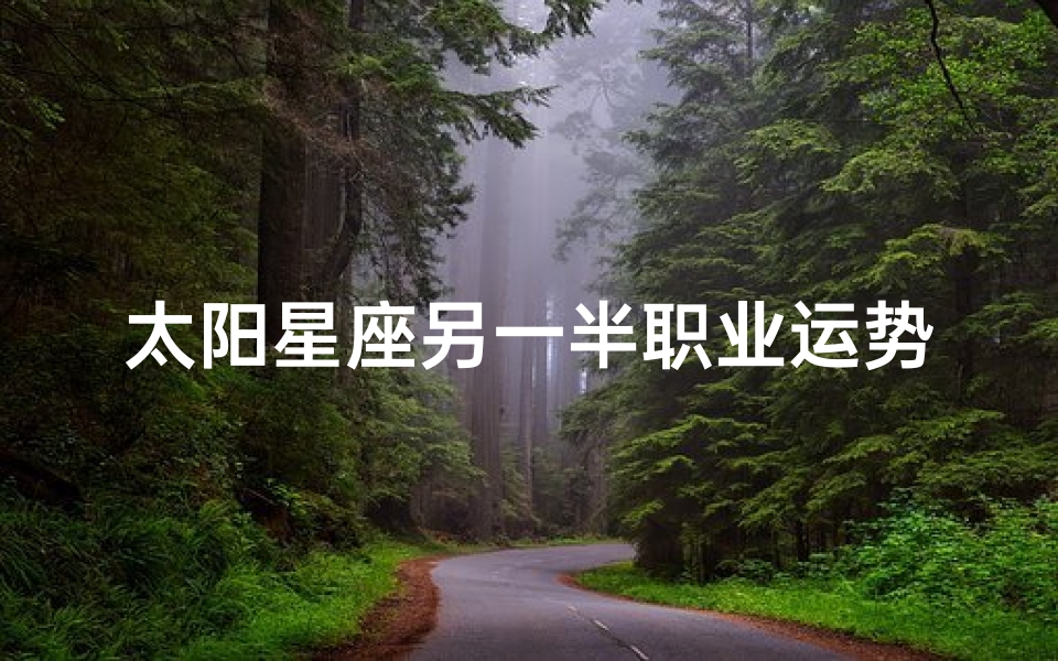 太阳星座另一半职业运势、太阳星座看另一半