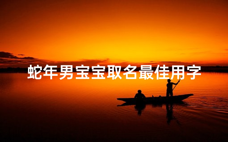蛇年男宝宝取名最佳用字推荐、蛇年出生的男孩取名字