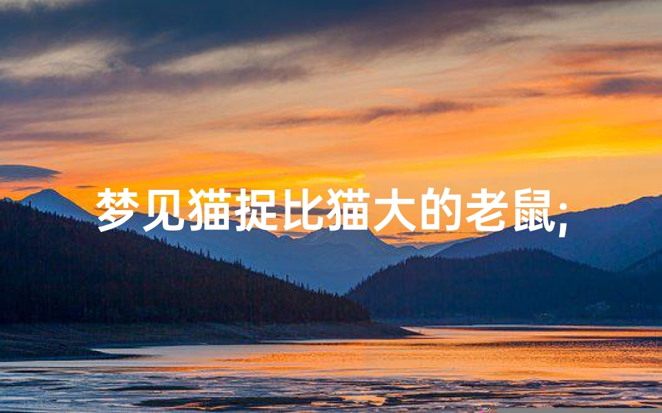 梦见猫捉比猫大的老鼠;梦见猫捉了一只大老鼠
