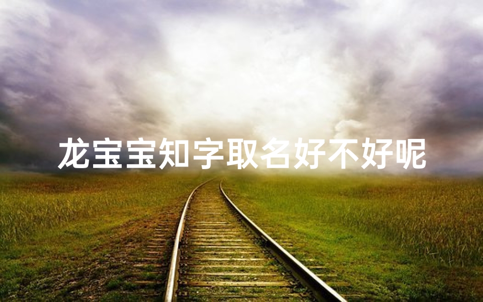 龙宝宝知字取名好不好呢、龙宝宝取名字大全