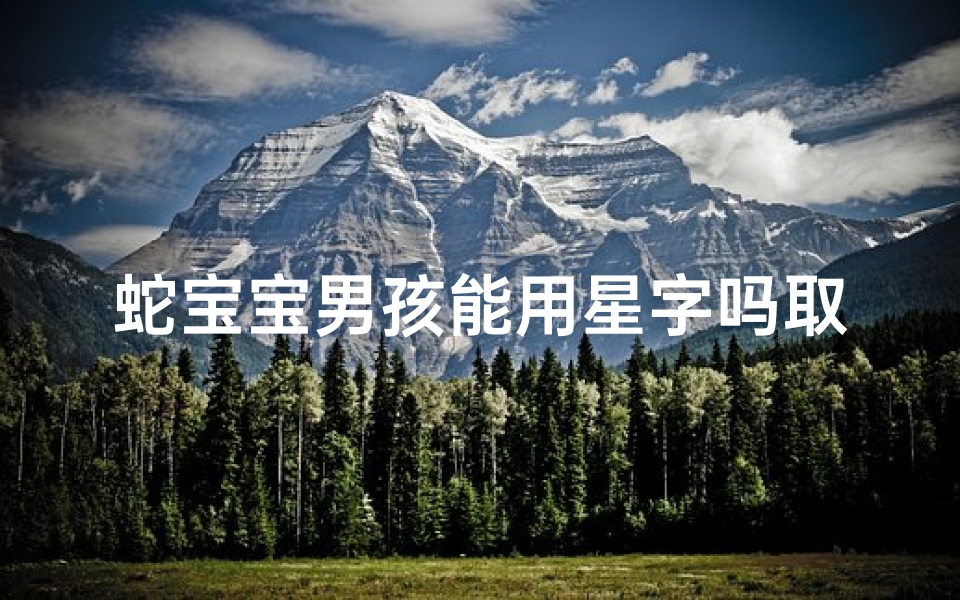 蛇宝宝男孩能用星字吗取名
