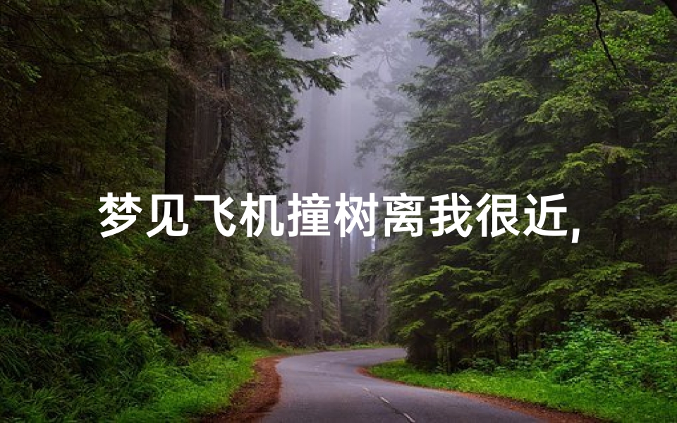 梦见飞机撞树离我很近,梦见飞机撞架