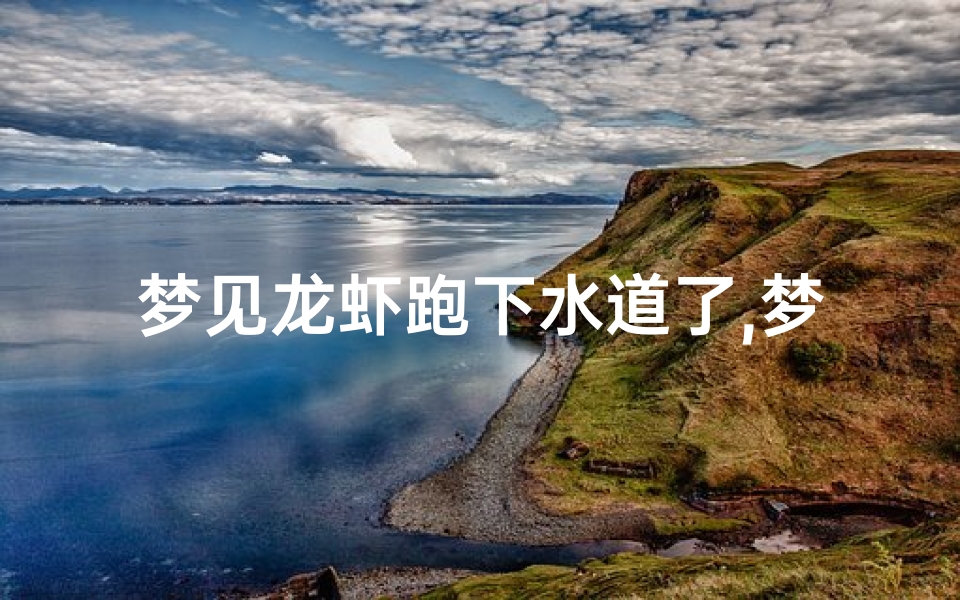 梦见龙虾跑下水道了,梦见龙虾被水冲走了