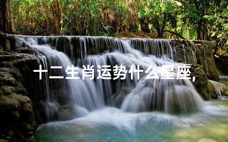 十二生肖运势什么星座,十二生肖运势揭秘:揭秘哪个星座运势最旺
