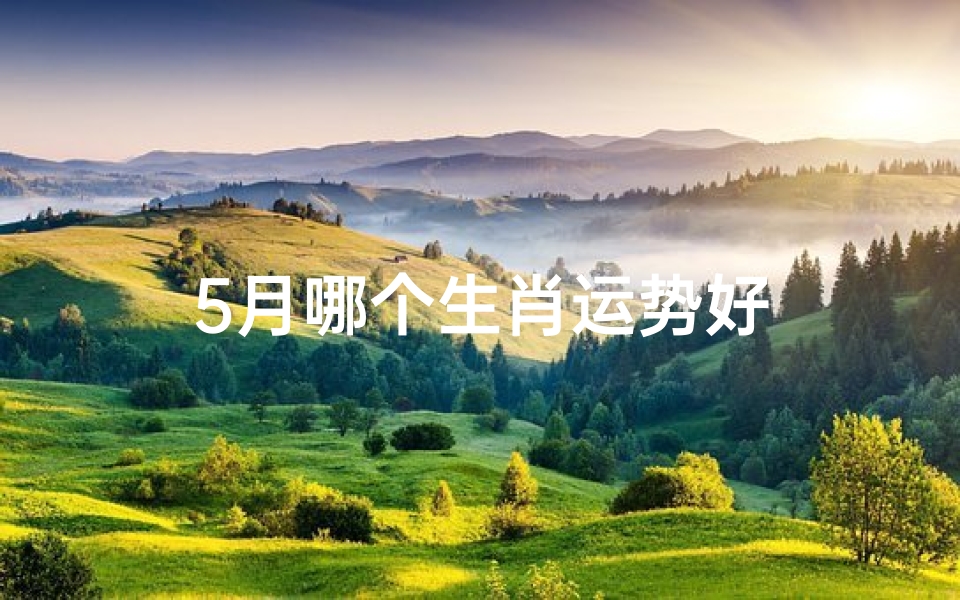 5月哪个生肖运势好