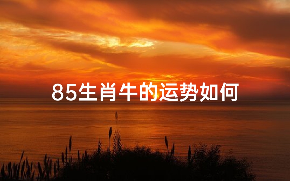 85生肖牛的运势如何