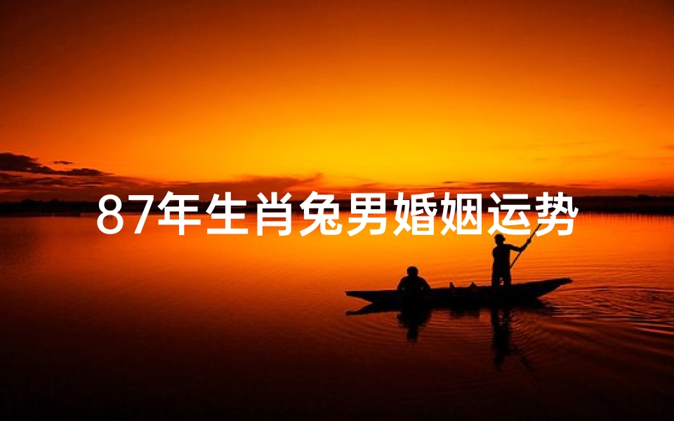 87年生肖兔男婚姻运势-《87年兔年男婚姻运势揭秘:幸福美满指南》