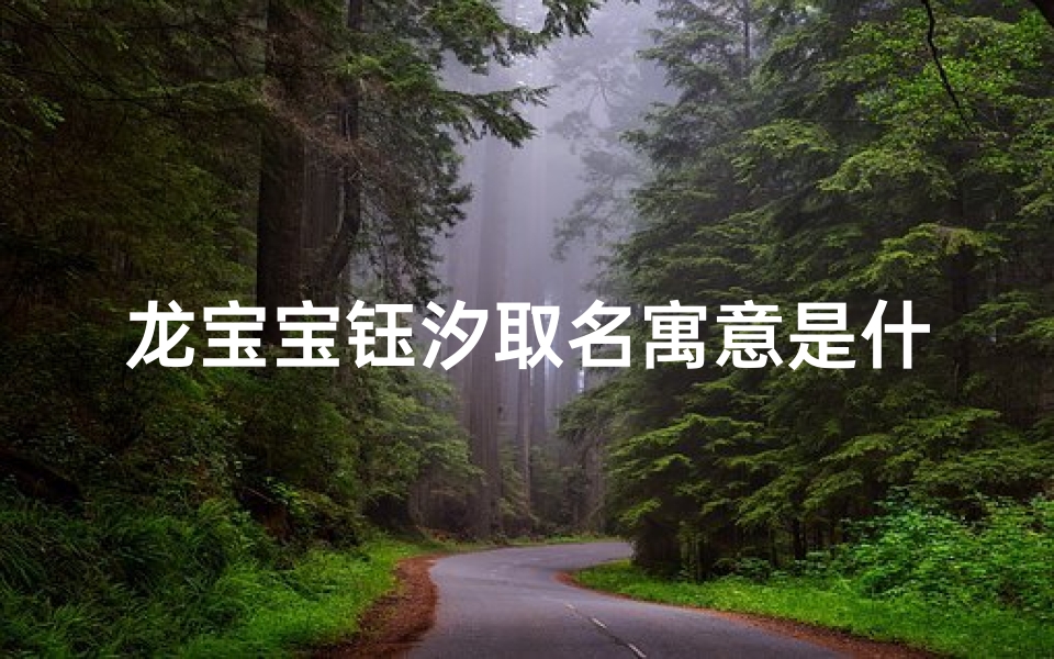 龙宝宝钰汐取名寓意是什么(钰汐的含义是什么)