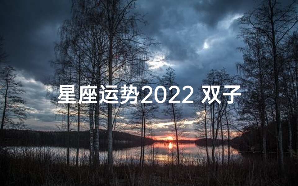 星座运势2022 双子;2021年十二星座双子座运势(完整版)